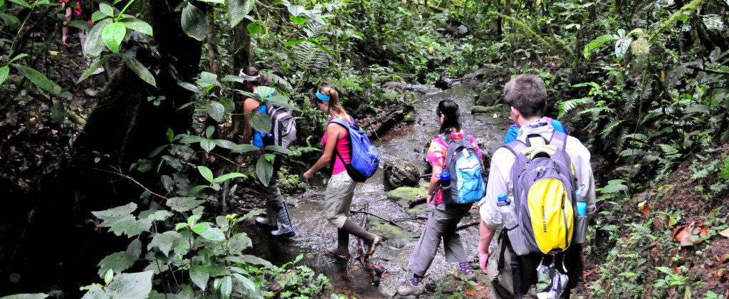 Scholastica Field Studies